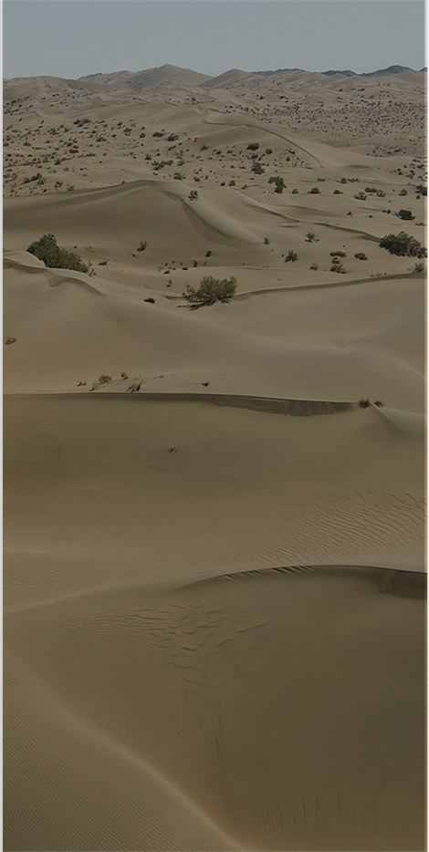 沙漠戈壁 沙漠戈壁